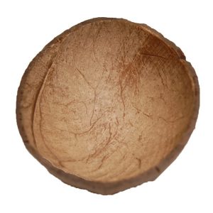 Coconut Shell 1/2  (150 -180 ml) | Zoo-Max